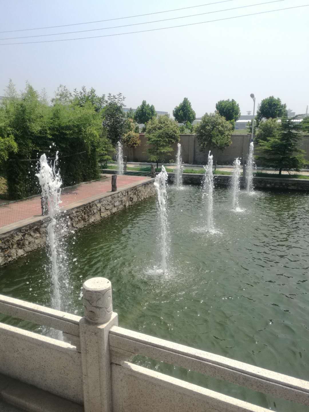 泰安同兴药业园林喷泉(图2)