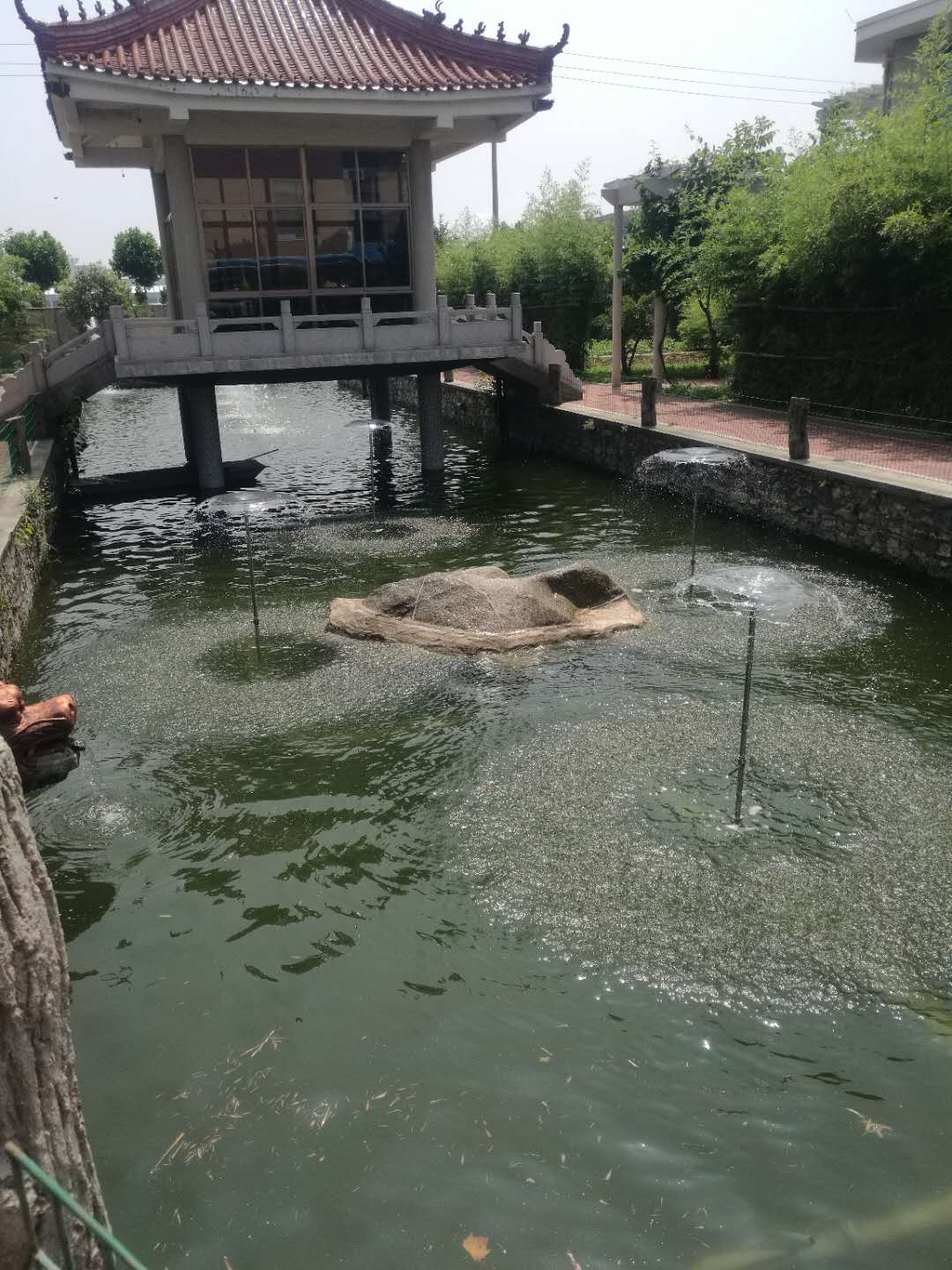 泰安同兴药业园林喷泉(图1)