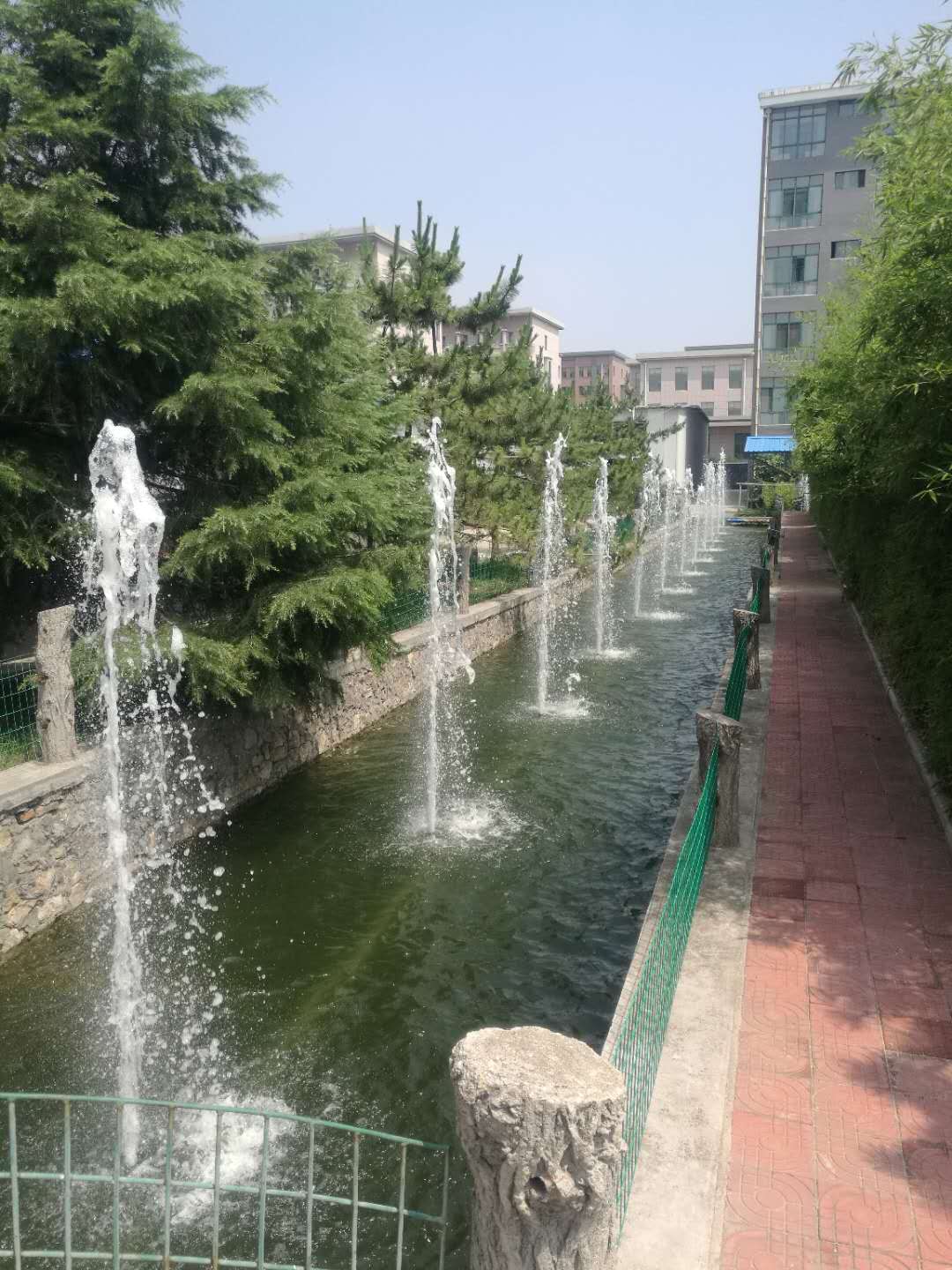 泰安同兴药业园林喷泉(图3)